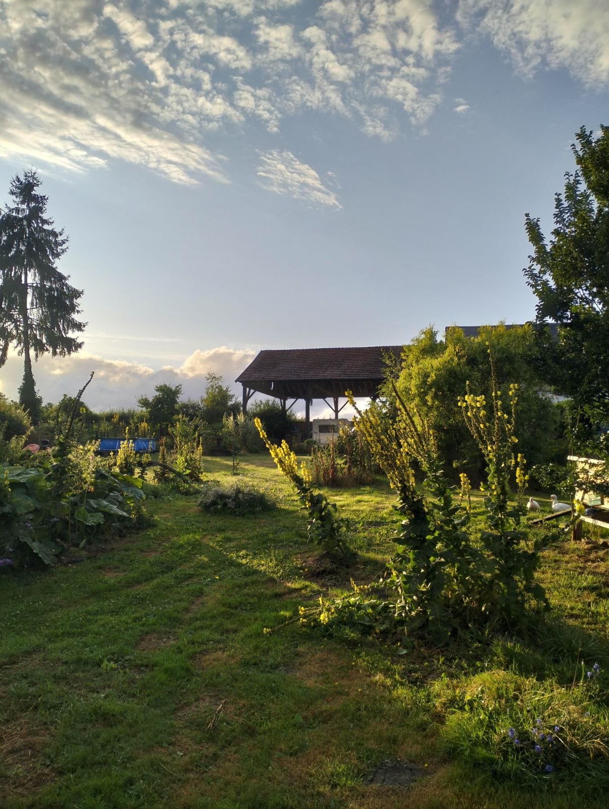 Photo n° 3 de l'avis de JW.p fait le 20/08/2023 à 10:23