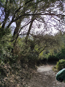 Sendero Castaño del Robledo - Galaroza C. Soledad, 8D, 21292 Castaño del Robledo, Huelva, España
