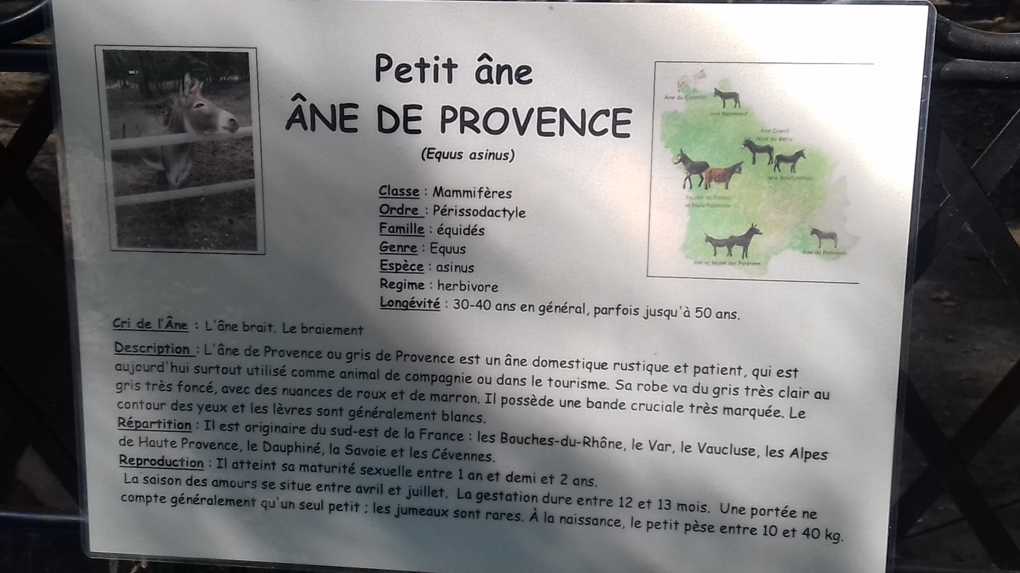 Photo n° 21 de l'avis de Laurent.o fait le 20/08/2018 à 10:25
