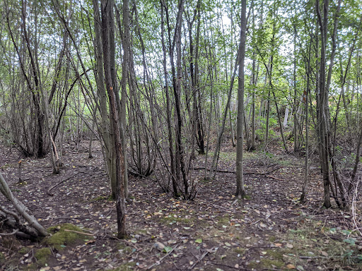 Park «Highlands Park», reviews and photos, 16123 Highlands Blvd SE, Mill Creek, WA 98012, USA