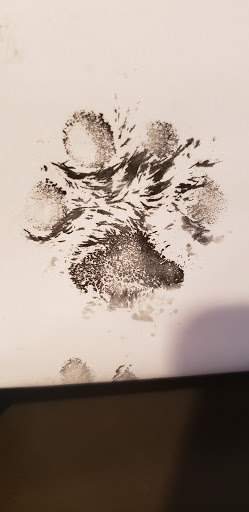 Tattoo Shop «Underworld Tattoo Company», reviews and photos, 282 Main St #101, Salem, NH 03079, USA