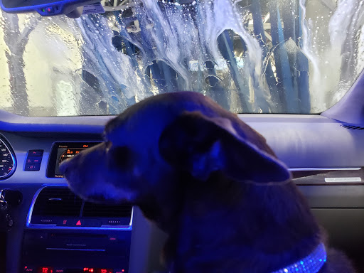 Car Wash «Busy Bee Car Wash (Miami Shores)», reviews and photos, 10550 Biscayne Blvd, Miami, FL 33138, USA