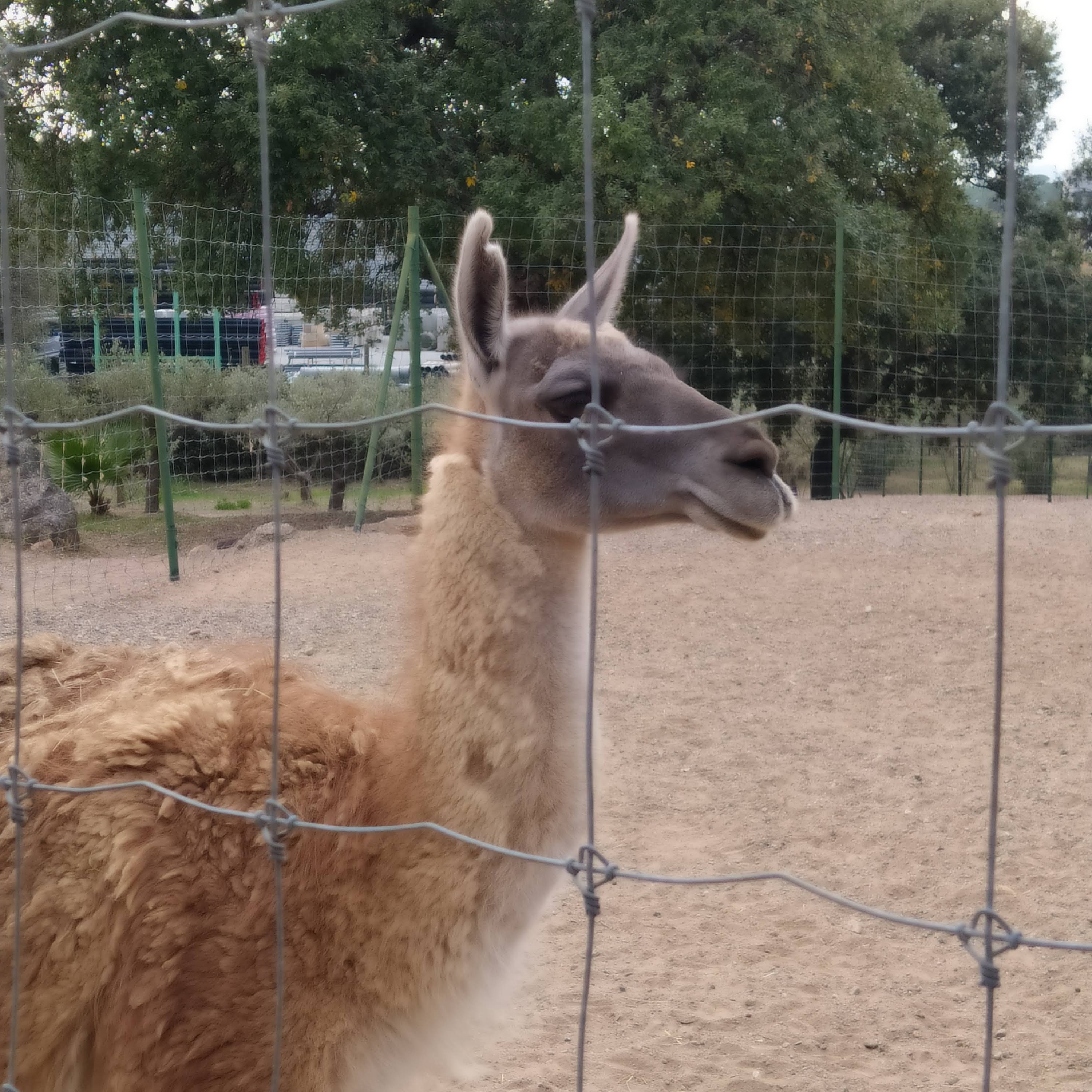 Photo n° 11 de l'avis de Sylvie.a fait le 29/10/2021 à 16:06