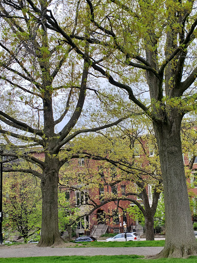 War Memorial «Bunker Hill Monument», reviews and photos, Monument Sq, Charlestown, MA 02129, USA