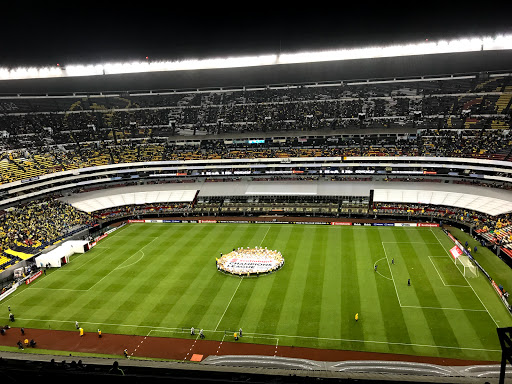 Public soccer fields Mexico City