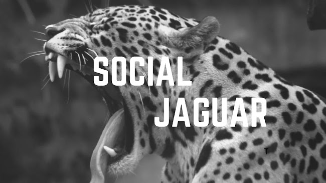 SOCIAL JAGUAR