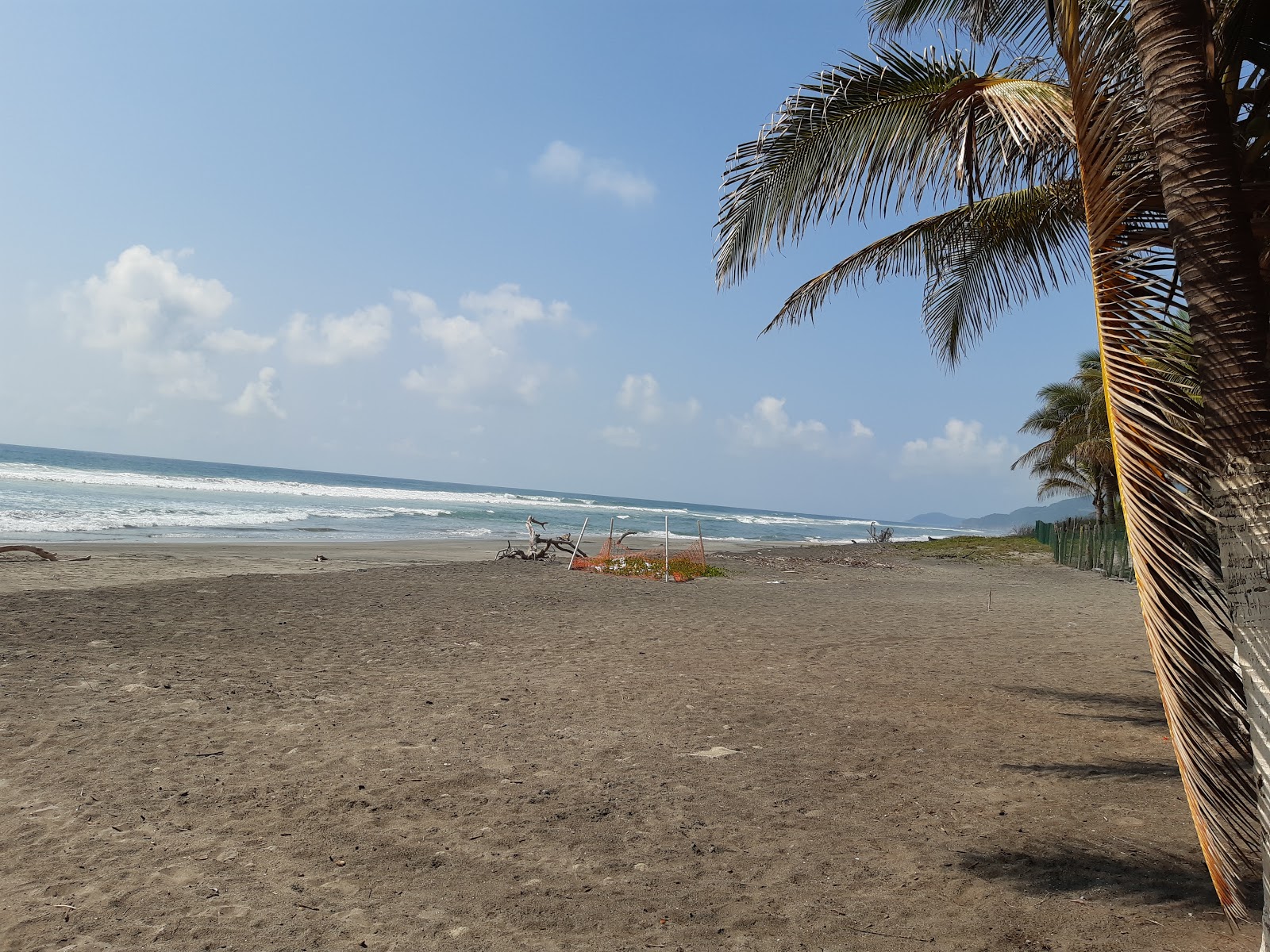 Zdjęcie Playa La Placita z proste i długie