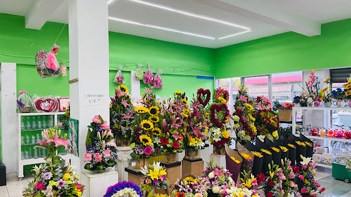 Florería Evelyn – San Miguel de Cozumel
