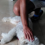 Photo n°8 de l'avis de Daniele.i fait le 13/07/2018 à 21:31 sur le  Hotel Pietra Verde à Otranto