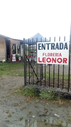 Florería Leonor - Floristería