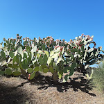 Photo n°12 de l'avis de Domenica.u fait le 03/10/2020 à 13:52 sur le  Family of the lake à Senise