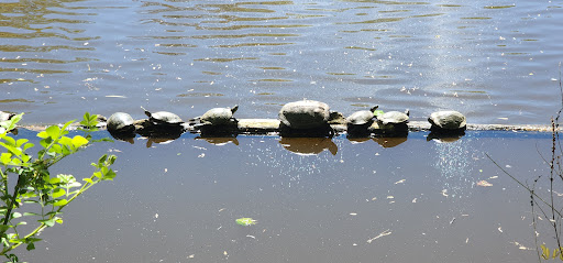 Zoo «Catoctin Wildlife Preserve and Zoo», reviews and photos, 13019 Catoctin Furnace Rd, Thurmont, MD 21788, USA