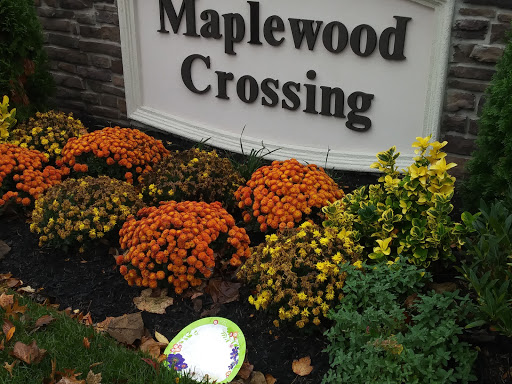 Park «DeHart Park», reviews and photos, 120 Burnett Ave, Maplewood, NJ 07040, USA