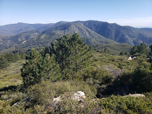 Agua Tibia Wilderness