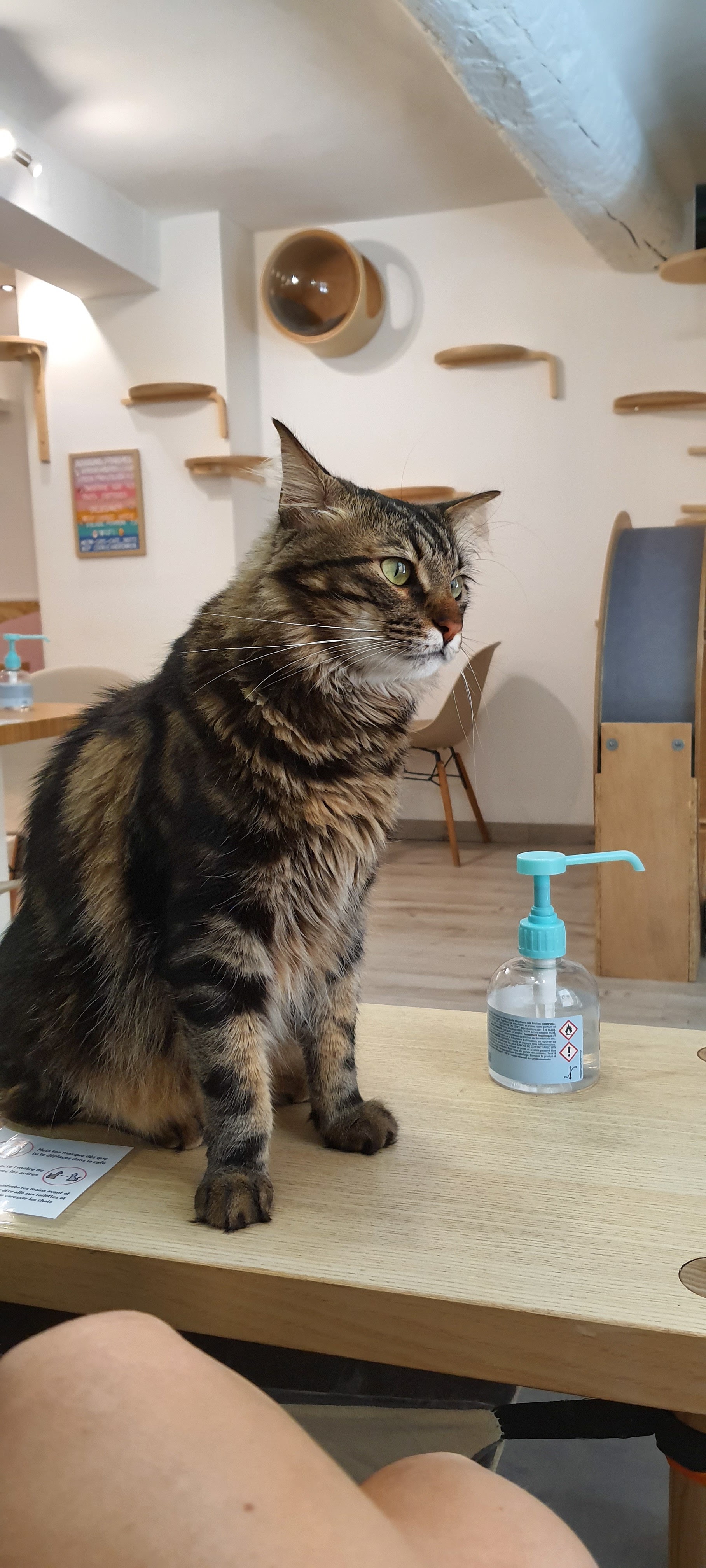 Photo n° 5 de l'avis de Hélène.O fait le 20/08/2020 à 14:07