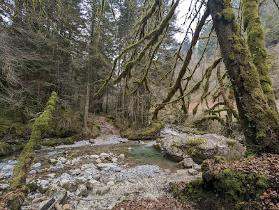 Route Forestière de la Combe d'Ire à Chevaline