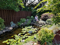 Affordable landscape maintenance service - Photo 4 - Car repair in Salem, OR, Salem