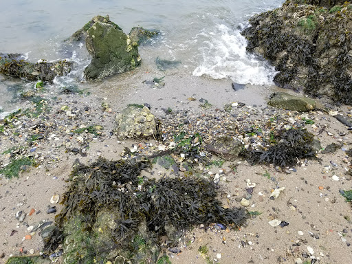 Park «Glen Island Park», reviews and photos, Weyman Ave, New Rochelle, NY 10805, USA