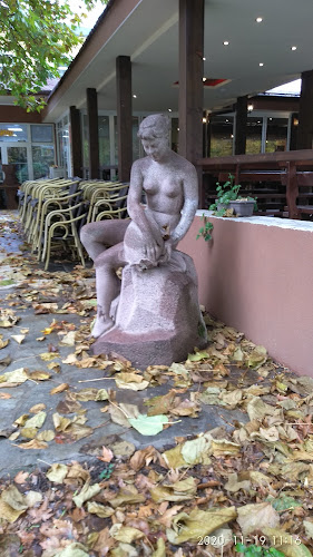 Comentarii opinii despre RUSALKA RESTAURANT