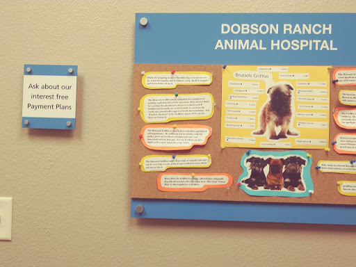 Dobson Ranch Animal Hospital & Grooming