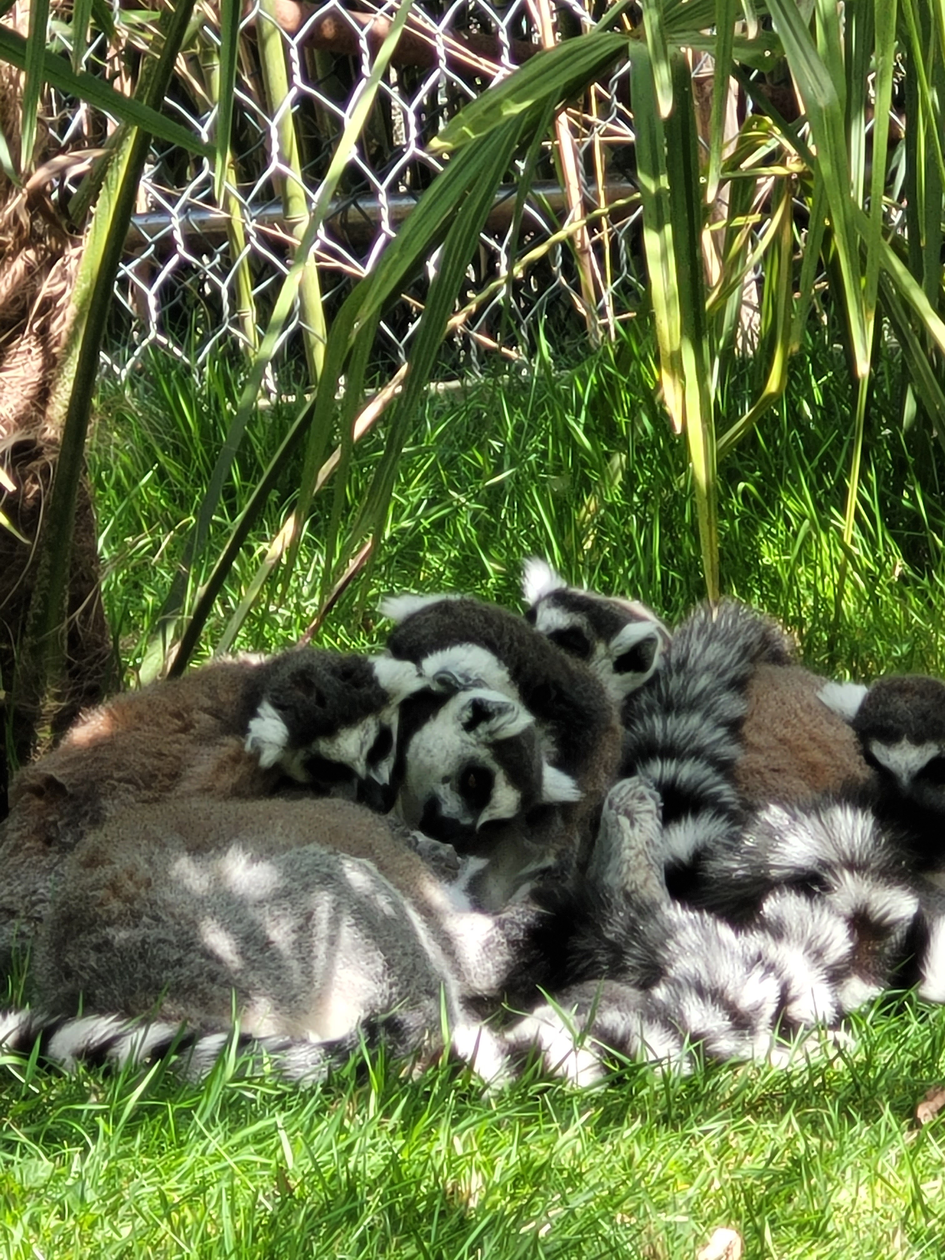 Photo n° 11 de l'avis de krystalita.t fait le 06/05/2023 à 15:24