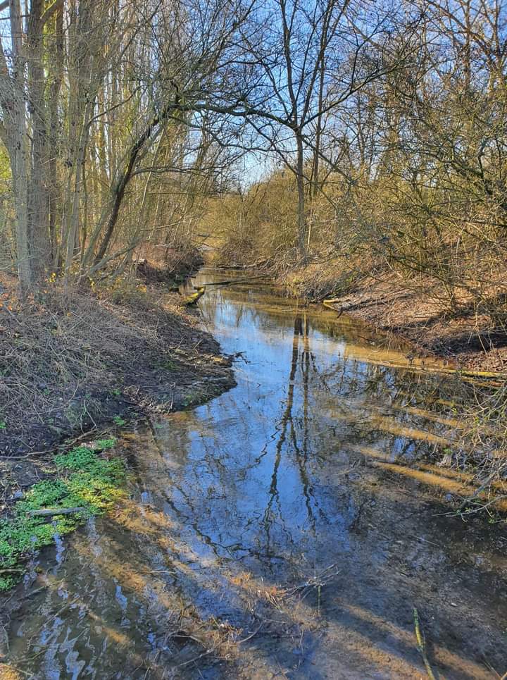 Photo n° 1 de l'avis de DELBARRE.R fait le 28/02/2022 à 15:53