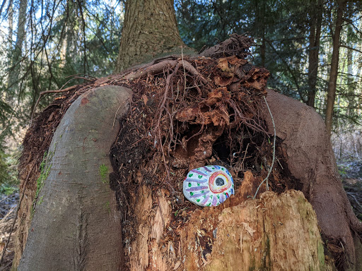 Park «West Hylebos Wetlands Park», reviews and photos, 411 S 348th St, Federal Way, WA 98003, USA