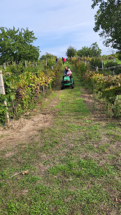 Juhász Pincészet Kóka / Sheperd Winery