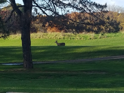 Golf Course «Indian Boundary Golf Course», reviews and photos, 8600 W Forest Preserve Ave, Chicago, IL 60634, USA