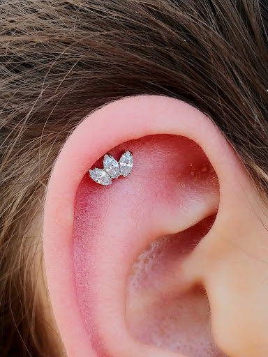 Explore nova tattoo ideas, creative tattoo ideas in Eau Claire, available at Steel N Ink Body Piercing