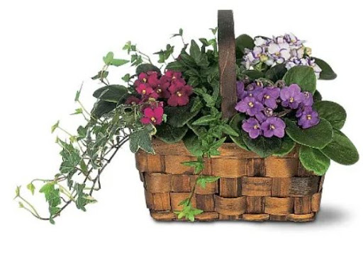 Florist «Sweet Meadows Flower Shop», reviews and photos, 155 Portland Ave, Dover, NH 03820, USA