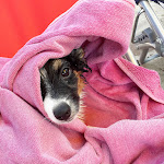 Photo n°5 de l'avis de Alessandra.e fait le 31/08/2021 à 06:21 sur le  Ristorante e Bar Lido dell'Ancora Sant'Isidoro à Sant'Isidoro