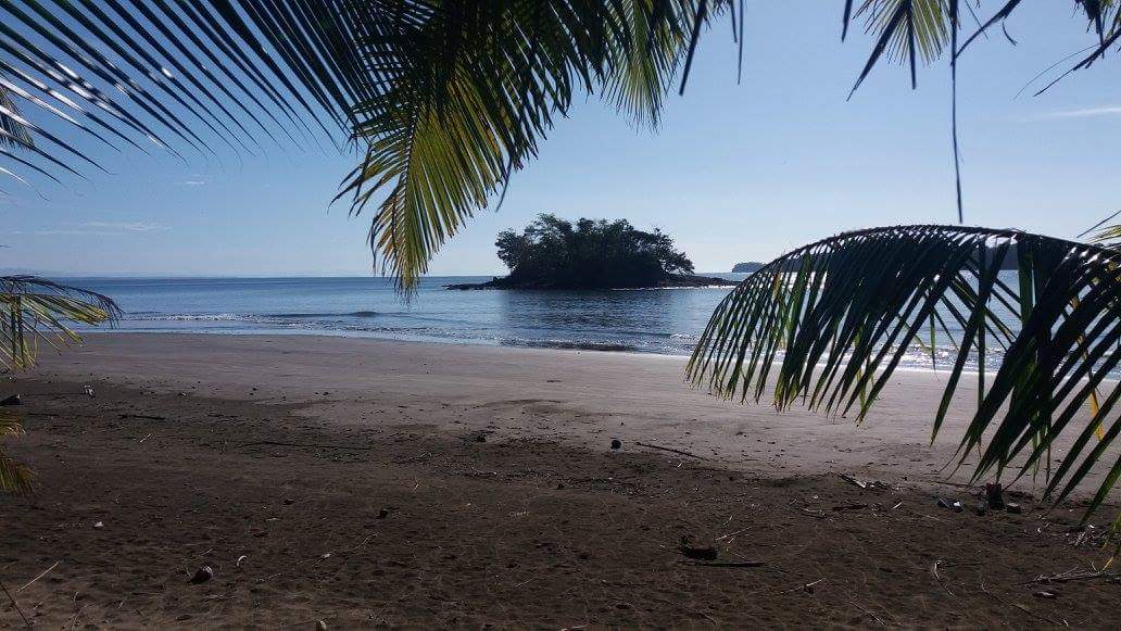 Foto van Playa Punta Bejuco met recht en lang