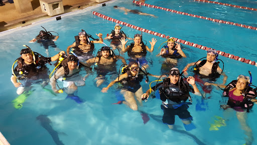 Yo Buceo Diving School