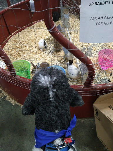 Department Store «Rural King», reviews and photos, 801 Cr-1510-10, Owensboro, KY 42303, USA