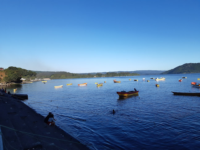 Comentarios y opiniones de Caleta El Piojo