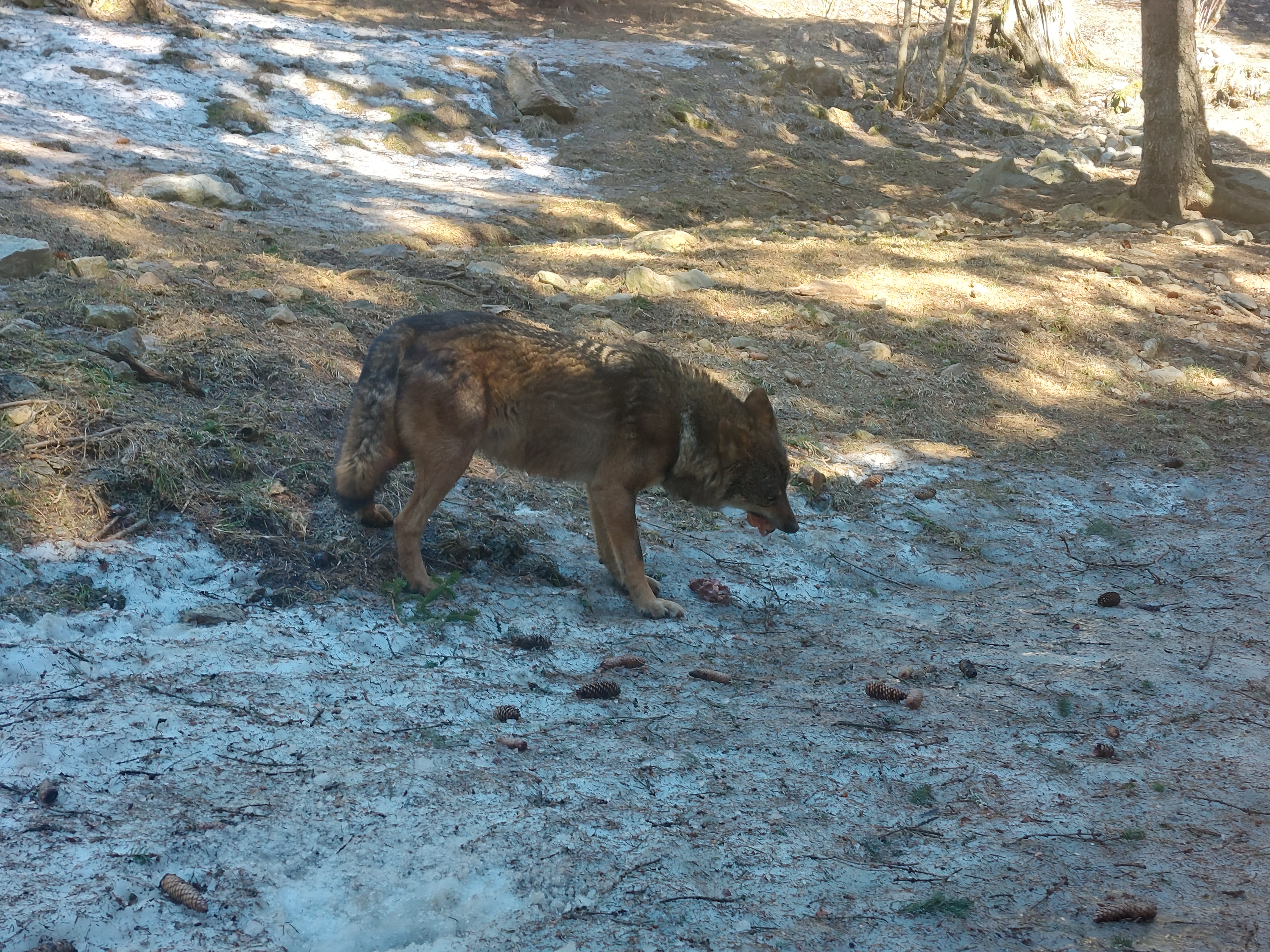 Photo n° 2 de l'avis de maeva.u fait le 13/03/2023 à 11:53