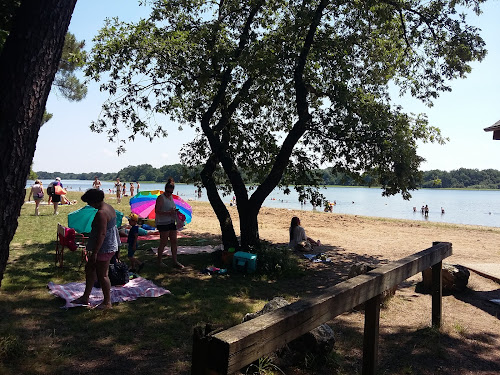 Plage de Vioreau à Joué-sur-Erdre