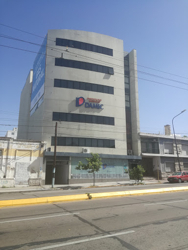 Instituto Médico DAMIC (Docencia Asistencia Médica e Investigación Clínica) | D.A.M.I.C. S.R.L.