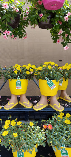 Department Store «Walmart Supercenter», reviews and photos, 3175 Cheney Hwy, Titusville, FL 32780, USA