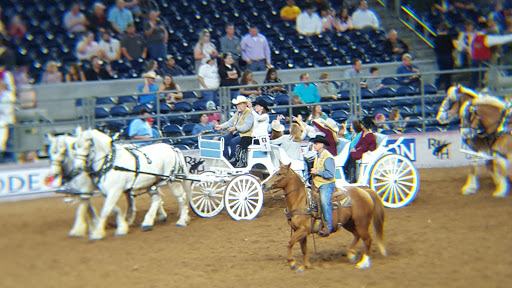 Stadium «NRG Stadium», reviews and photos, NRG Pkwy, Houston, TX 77054, USA