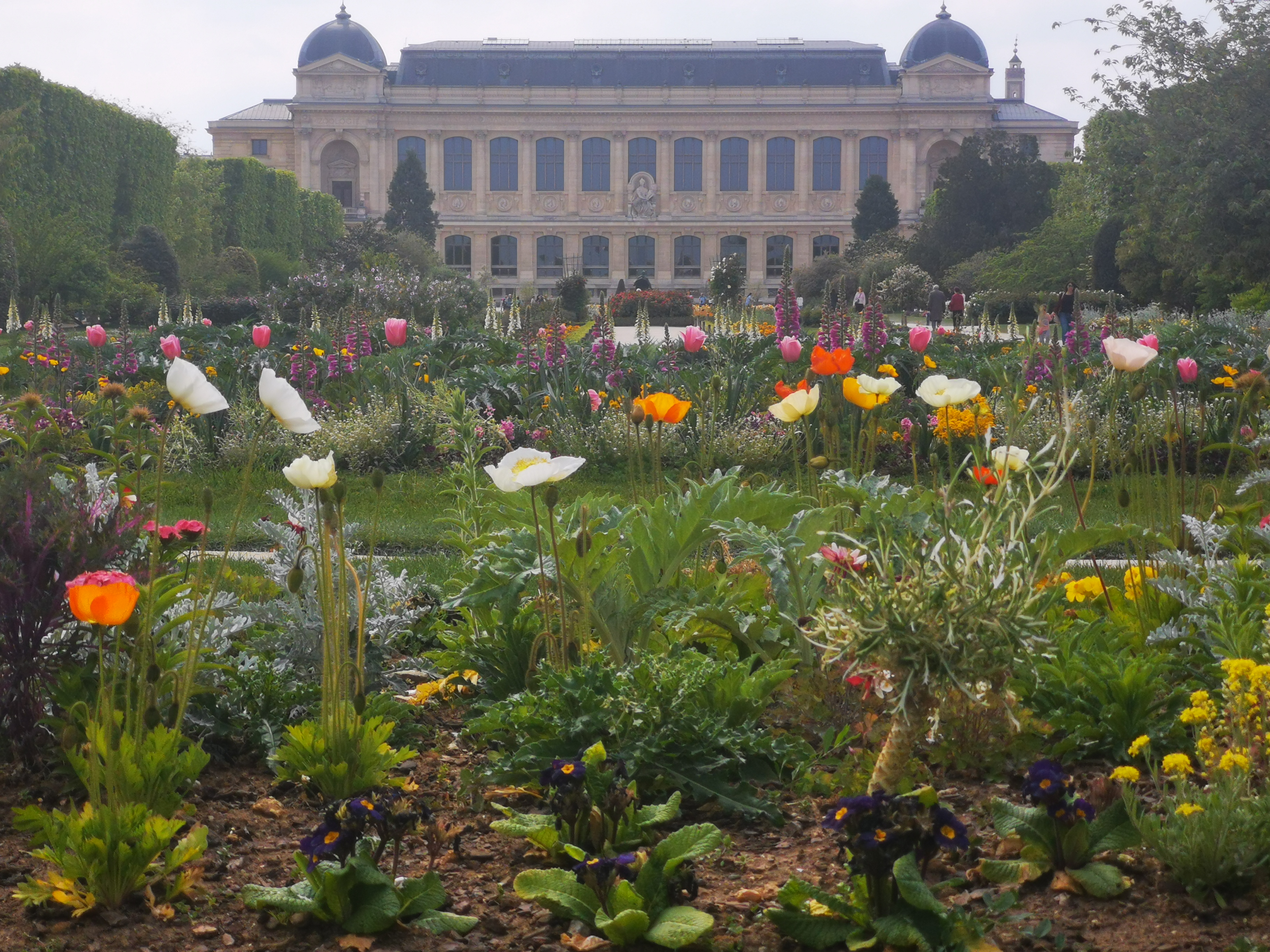 Photo n° 2 de l'avis de Kévin.e fait le 17/04/2023 à 17:34