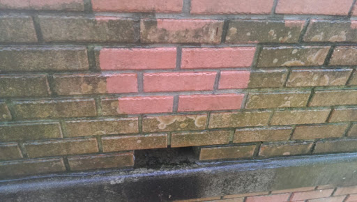 Carpet Cleaning Service «B & B Cleaning», reviews and photos, 109 E 11th Ave, Bowling Green, KY 42101, USA