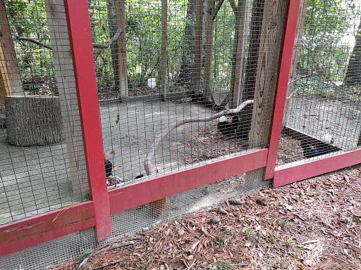 Science Museum «Museum of Life and Science», reviews and photos, 433 W Murray Ave, Durham, NC 27704, USA