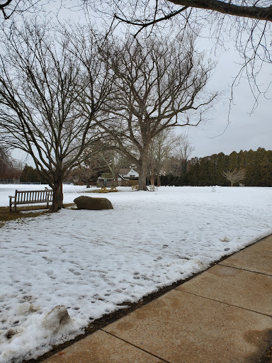 Grocery Store «Stop & Shop», reviews and photos, 67 Newtown Ln, East Hampton, NY 11937, USA