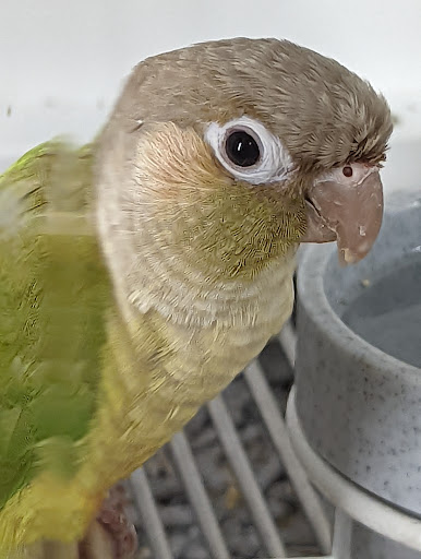 Pet Supply Store «Petco Animal Supplies», reviews and photos, 3012 Bridgepointe Pkwy, San Mateo, CA 94404, USA