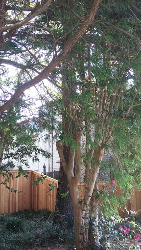 Performing Arts Theater «Little Theatre-Virginia Beach», reviews and photos, 550 Barberton Dr, Virginia Beach, VA 23451, USA