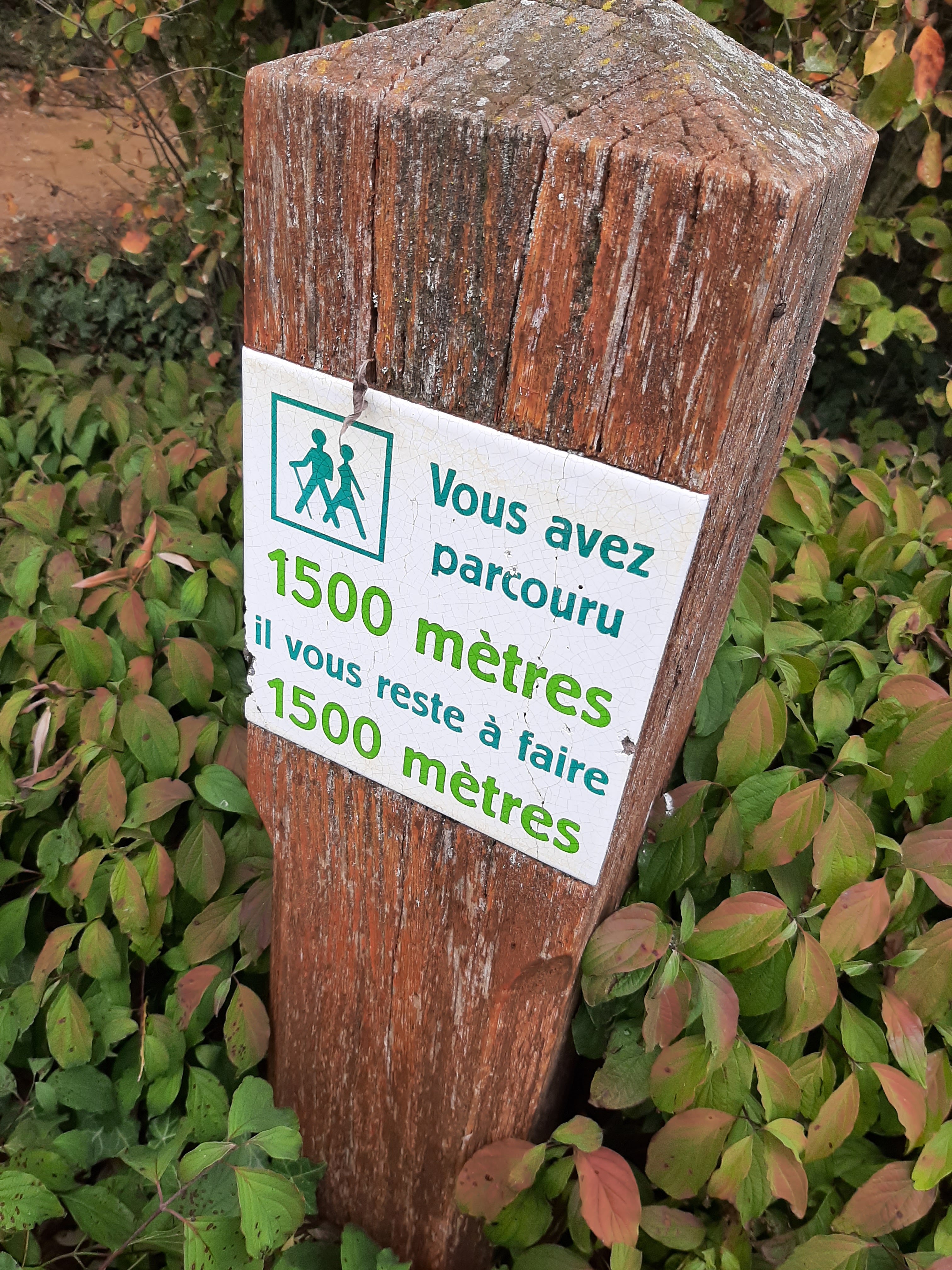 Photo n° 11 de l'avis de NoNo.o fait le 03/10/2021 à 17:51