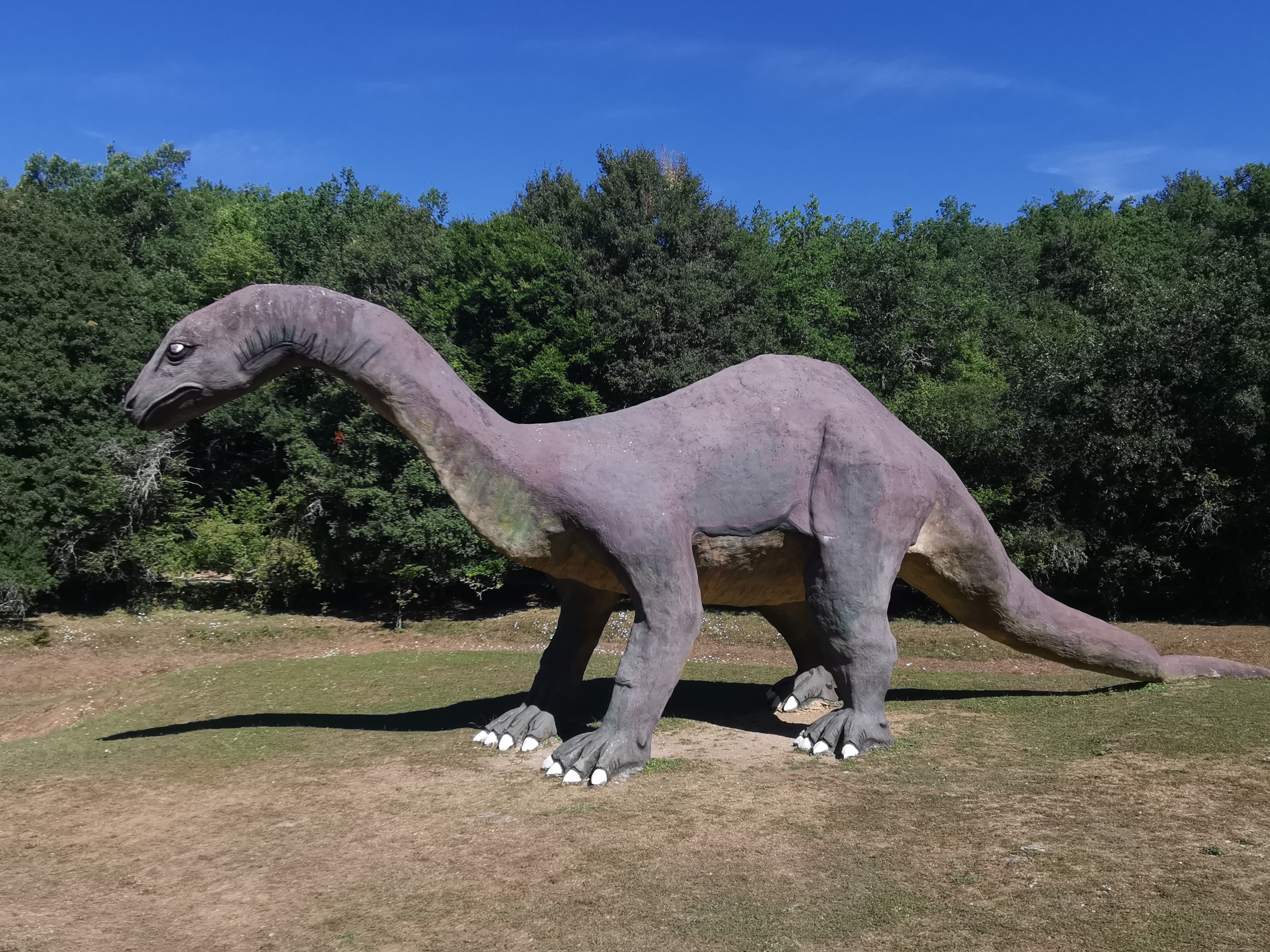 Photo n° 1 de l'avis de Eloise.o fait le 02/08/2022 à 18:45