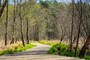 Birgeler Urwald image